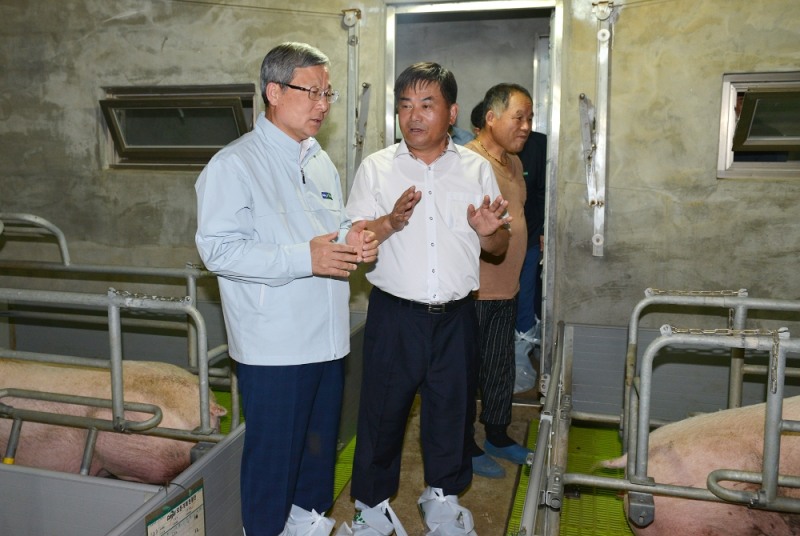 △NH농협손해보험 오병관 대표이사(사진 왼쪽)가 충남 당진 소재 양돈 농가를 방문, 대전충남양돈농협 이제만 조합장(사진 가운데), 농장주와 폭염 피해 관련 이야기를 나누고 있다. / 사진=NH농협손해보험