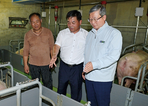 ▲ 양돈농가를 직접 방문해 가축들의 상태를 살피고 있는 NH농협손해보험 오병관 대표이사(사진 오른쪽) / 사진 = NH농협손해보험