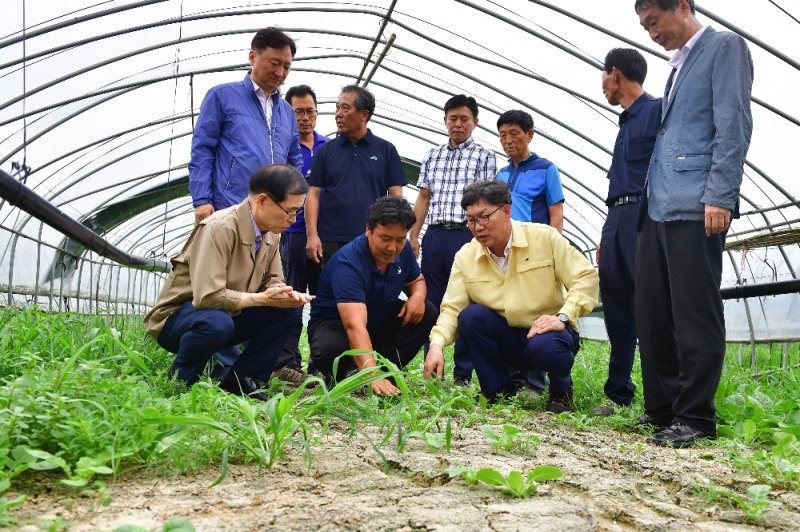 이대훈 농협은행장(앞줄 왼쪽 세 번째)이 9일 경기도 광명시 안터마을에 위치한 폭염피해농가를 찾아 피해현황을 점검하고 있다. / 사진= 농협은행