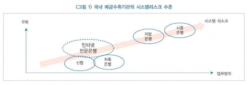 '인터넷전문은행의 리스크 특성 및 규제' / 자료출처= 한국금융연구원 서병호 선임연구위원(2018.08)