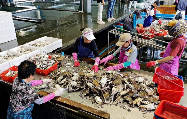 /사진=홈플러스.