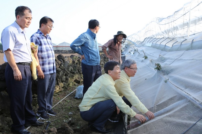 △사진=NH농협손해보험