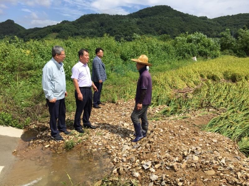 △오병관 대표이사(사진 왼쪽 첫 번째)가 진용화 동송농협 조합장(사진 왼쪽 두 번째)과 벼 쓰러짐 피해현황을 살펴보며 이야기를 나누고 있다. / 사진=NH농협손해보험
