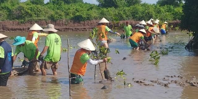 SK이노베이션 노사 자원봉사단과 현지주민이 베트남 롱칸 지역에서 '맹그로브 숲 복원'을 위한 봉사활동을 하는 모습이다.