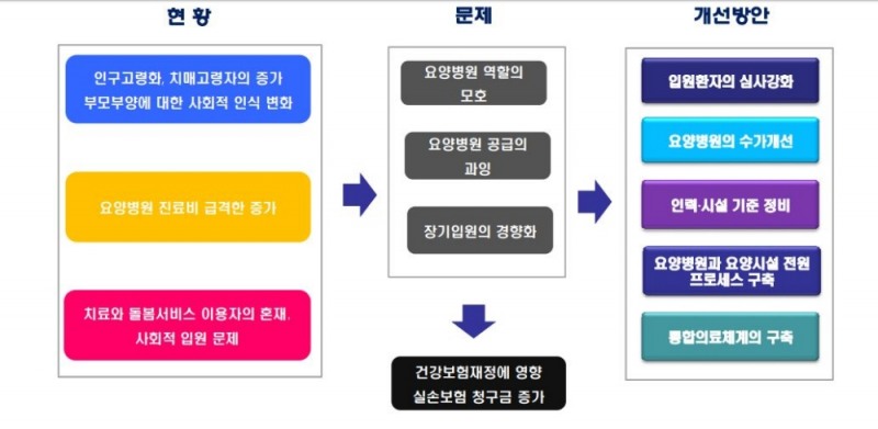 △국내 요양병원 제도 현황 및 개선 방향 요약도 / 자료=보험연구원