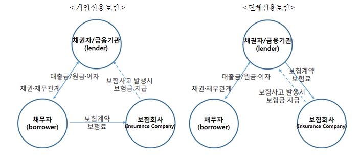 △개인, 단체 신용보증보험의 기본 구조 / 자료=보험연구원
