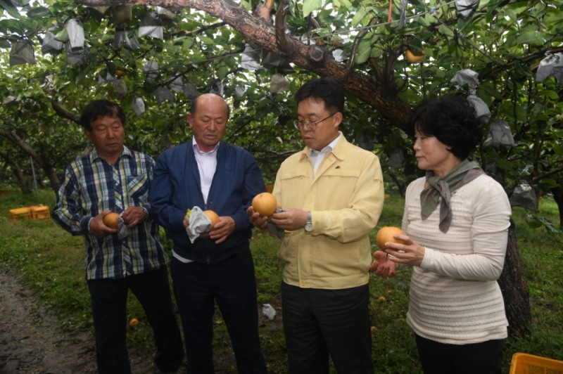 경기농협, 태풍 '콩레이' 북상 대비 농업현장 점검
