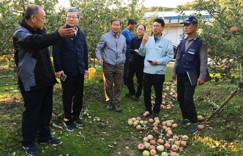 △사진=NH농협손해보험