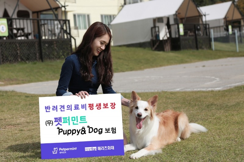 △사진=메리츠화재