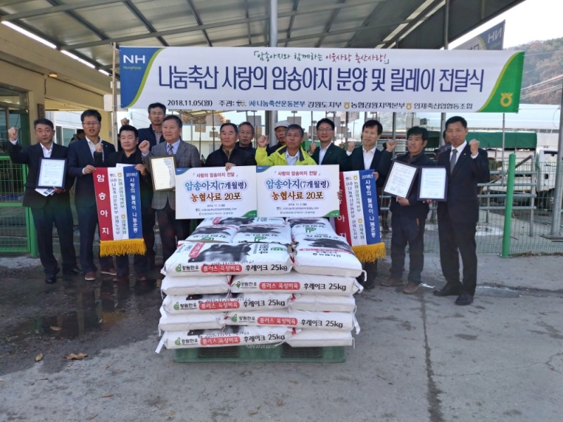 농협강원지역본부, 나눔축산 사랑의 암송아지 신규 분양