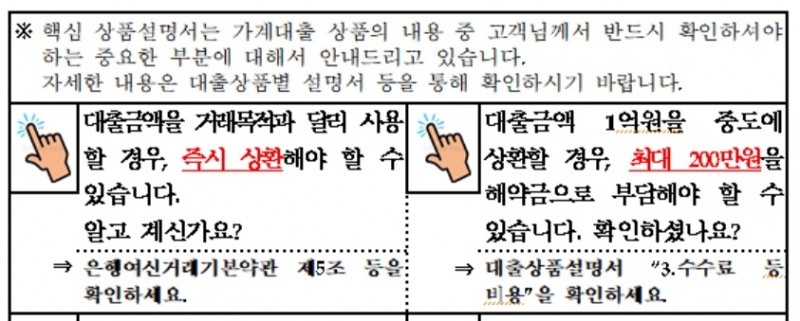 핵심상품설명서 예시./사진=금융감독원