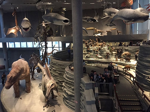 겨울방학캠프의 자연체험 활동 중 하나인 자연사박물관(자료=상해사범대학부속 제2외국어학교)