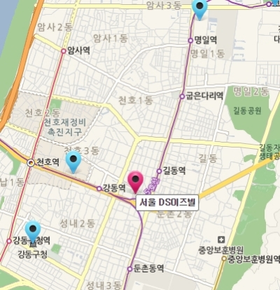 서울 DS이즈빌 위치도. 사진=다음 로드뷰.