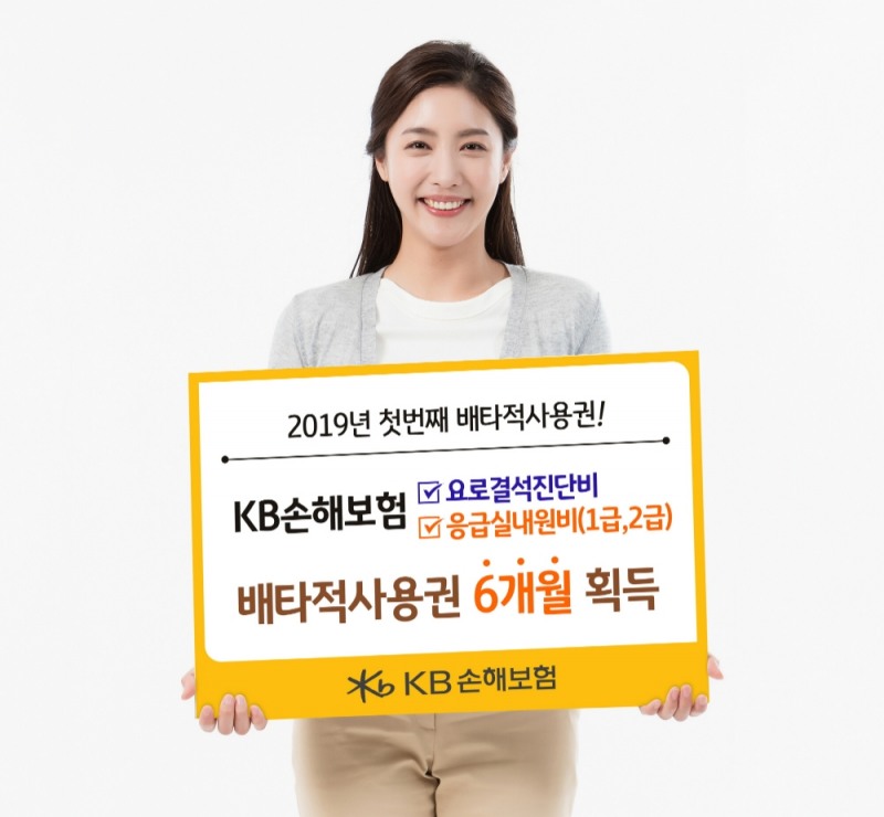 △사진=KB손해보험