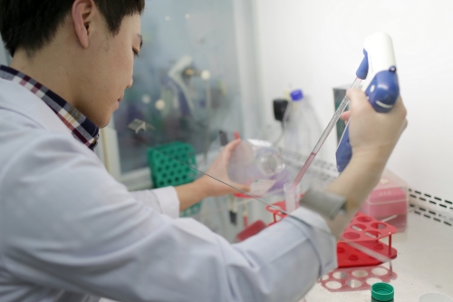 췌장암 항암 후보물질을 연구하고 있는 모습 (사진=OCI)