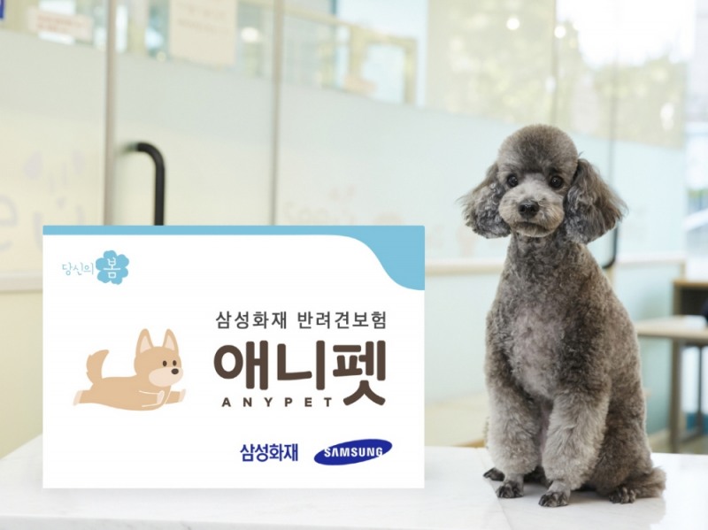 △사진=삼성화재