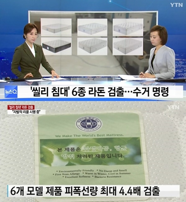 (사진: YTN 뉴스)