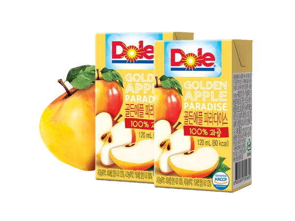 사진=돌코리아.