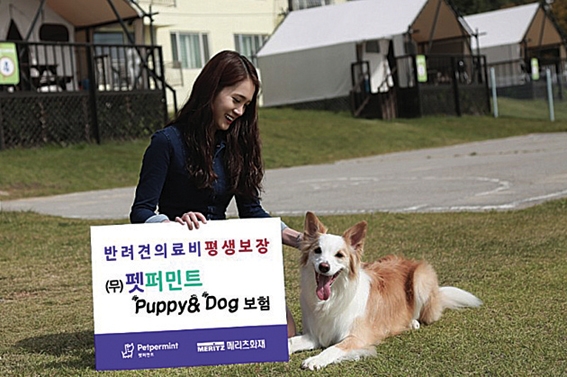 메리츠화재 ‘배타적 사용권’으로 일반보험 시장 경쟁