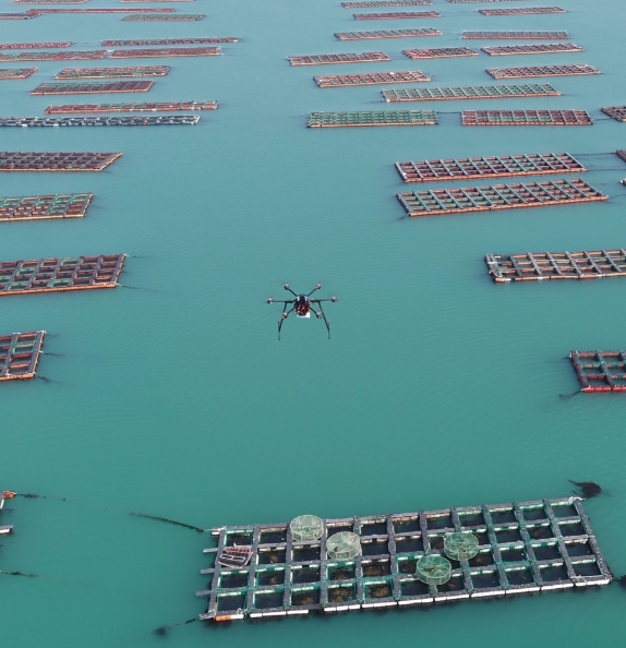 △LG유플러스의 스마트 드론이 전남 완도 근처의 전복 양식장의 관찰에 나선 모습/사진=LG유플러스