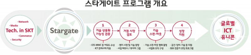 △스타게이트 프로그램 인포그래픽/사진=SKT