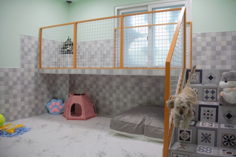 신세계면세점 "집사는 해외로, 반려견은 애견호텔로"