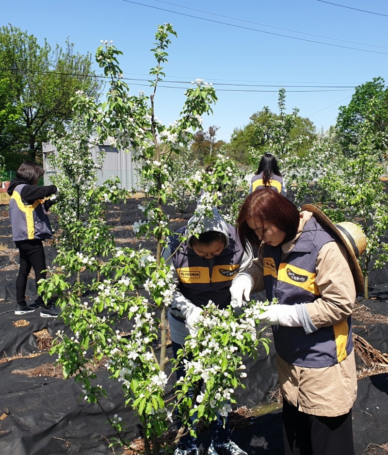 △사진=KB손해보험