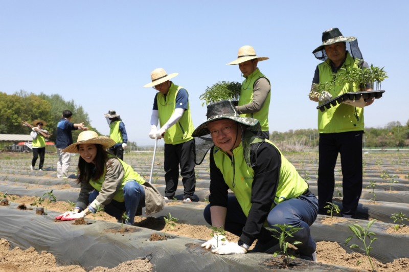 ▲정영채 NH투자증권 사장(앞줄 오른쪽)과 임직원들이 7일 경기도 파주시 문산에서 농촌 일손돕기 행사를 진행하고 있다./사진=NH투자증권