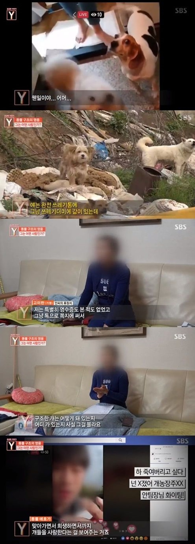 동물구조 영웅 (사진: SBS '궁금한 이야기Y')