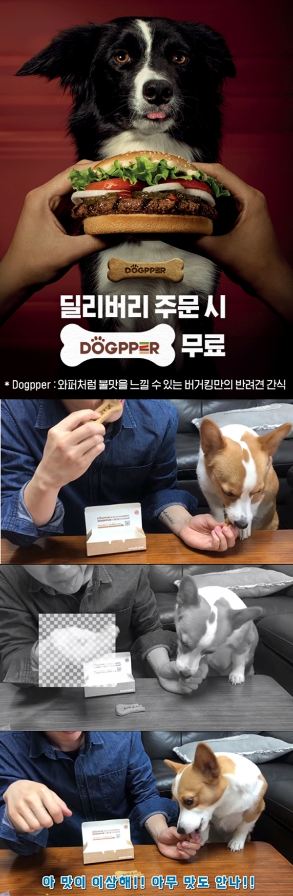 버거킹 독퍼 (사진: 버거킹, 유튜브 '라라코기' 채널)