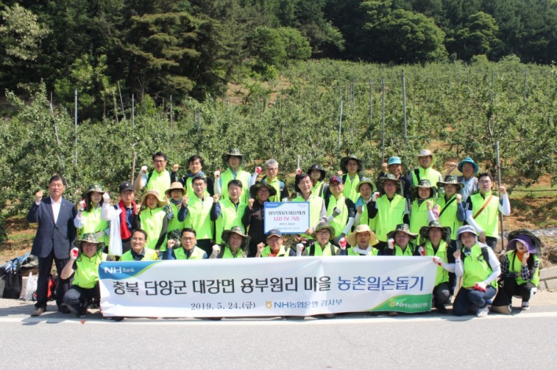 NH농협은행 이익중 상근감사위원(가운데줄 오른쪽에서 일곱번째)이 직원들과 일손돕기 후 사진촬영을 하고 있다./사진=농협은행