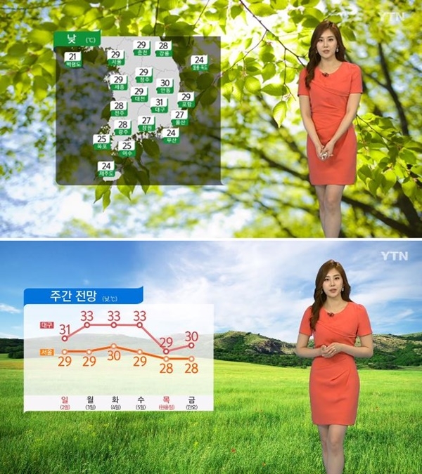 (사진: YTN 뉴스 캡처)