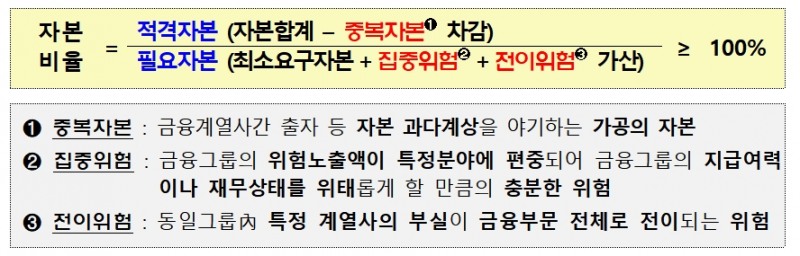 금융그룹 감독 모범규준 자본 적정성 기준 / 자료= 금융위원회