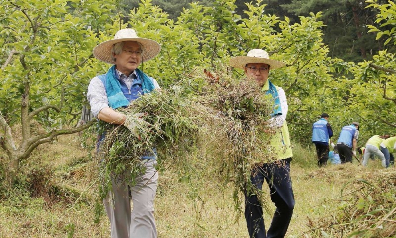 김태오 대구은행장(왼쪽), 송종욱 광주은행장이 18일 담양 무월마을에서 달빛동맹 강화 봉사활동을 하고 있다./사진=대구은행