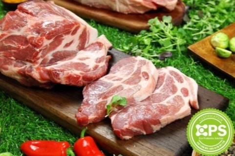 사진: 두지프로바이틱스 제공