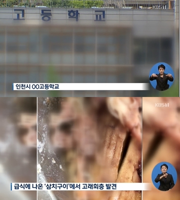 (사진: KBS 뉴스 캡처)