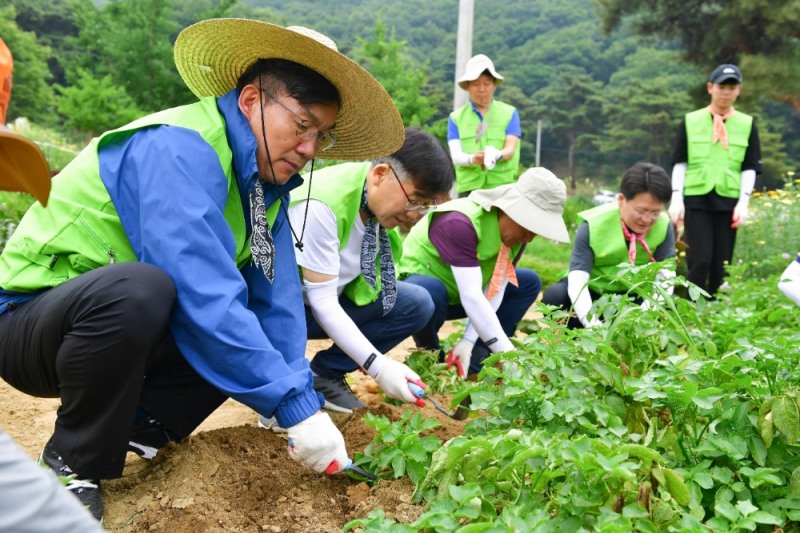 26일 이대훈 은행장과 농협은행 임직원들이 의왕시 원터마을에서 농촌일손을 돕고 있다./사진=NH농협은행