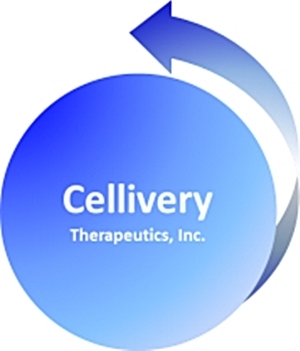 ▲자료=셀리버리