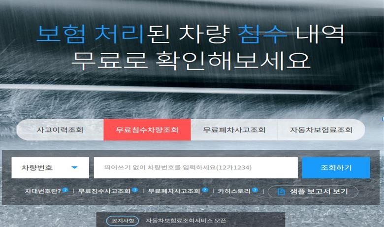 △보험개발원 카히스토리 화면 / 자료=보험개발원