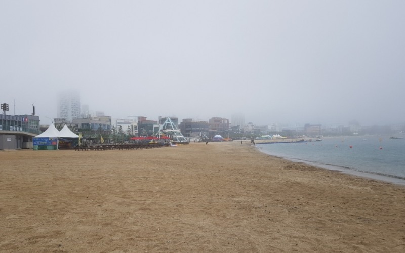 △울산 일산해수욕장의 모습/사진=오승혁 기자