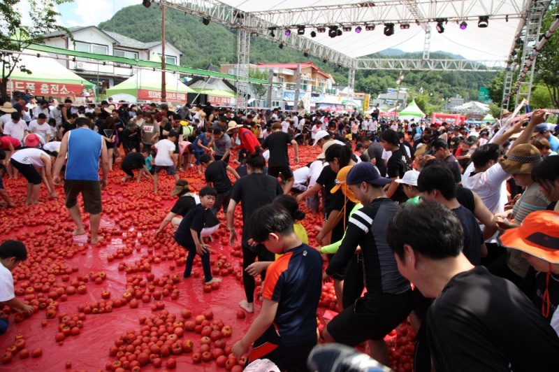 참가자들이 토마토 축제를 즐기는 모습. /사진제공=오뚜기