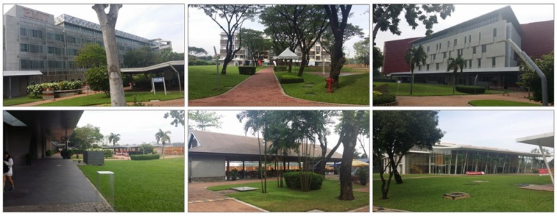 사진 : 베트남의 명문 국제대학 RMIT 캠퍼스 (출처=비엔티컨설팅)