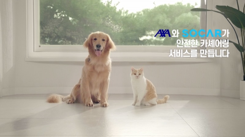 △사진=AXA손해보험