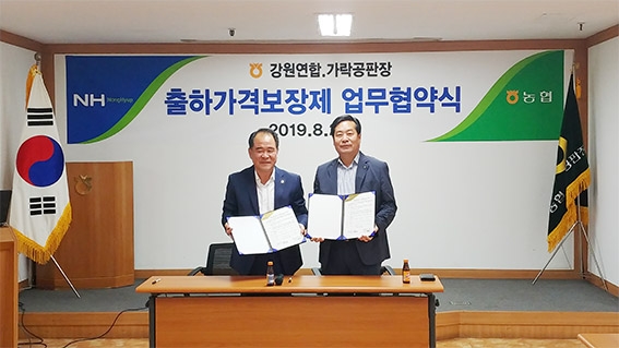 강원도·강원농협·가락도매시장 상생협력 공동 마케팅