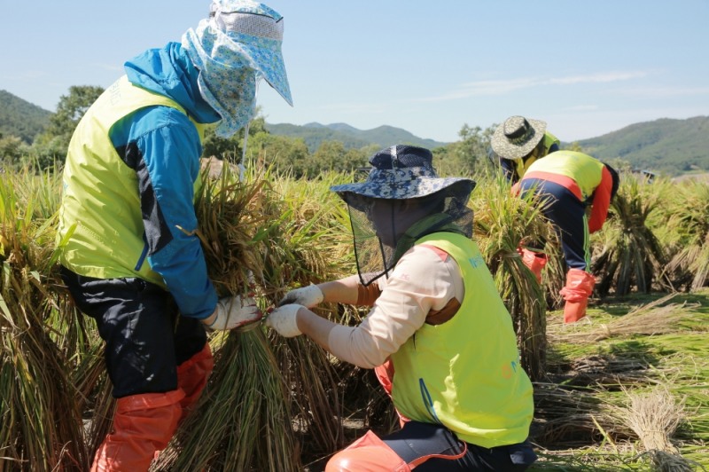 △사진=NH농협생명