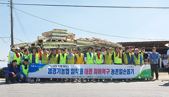 경기농협, 노사 및 민관 합동 태풍피해 복구 일손돕기
