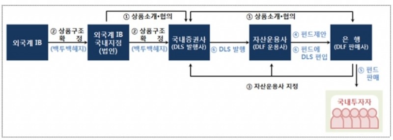 DLF 상품 제조, 설계, 판매 절차./사진=금융감독원