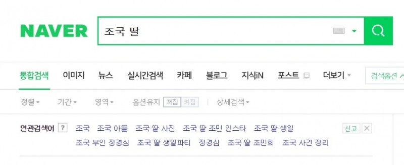 △네이버 포털 사이트에서 조국 딸을 검색하면 등장하는 연관 검색어/사진=오승혁 기자