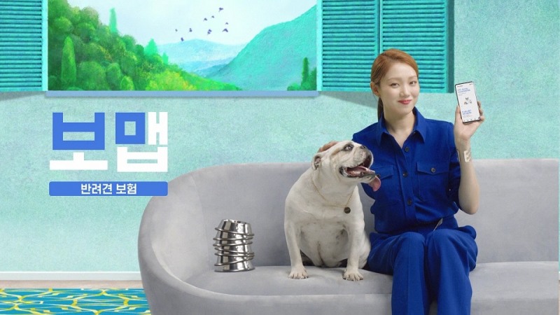 보맵, 동물등록번호 없이도 가입 가능한 비대면 '간편 반려견보험' 선보인다