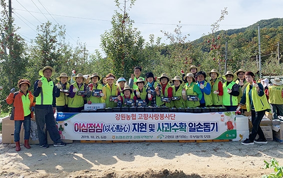 농협 강원지역본부, 고향사랑봉사단 중식지원사업 농촌일손돕기